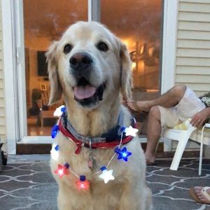 Meet your Posher, Chandler